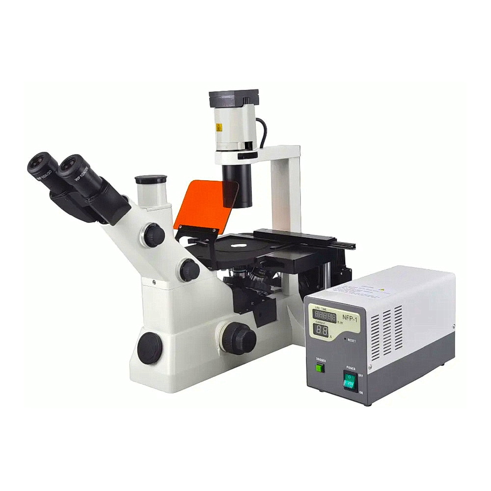 Bestscope BS-7020 биологический инвертированный флуоресцентный микроскоп с цифровой камерой