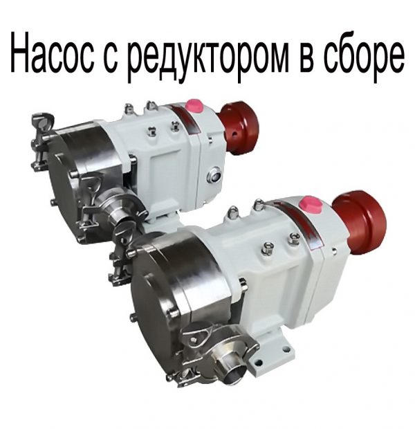 3RP80 Санитарный роторный насос на vbobylev.ru